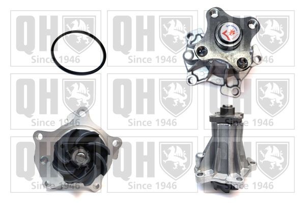 QUINTON HAZELL Αντλία νερού QCP2934 QUINTON HAZELL QCP2934 Τρόμπα νερού FORD Transit Mk5 Φορτηγό πλατφόρμα/Σασσί (V184, V185) φθηνά