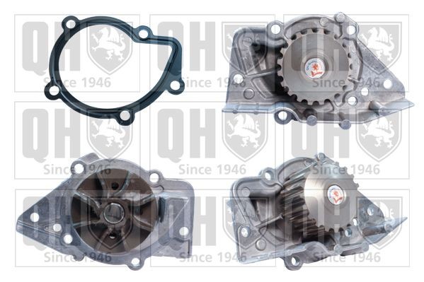 QUINTON HAZELL Vandpumpe QCP2944 QUINTON HAZELL QCP2944 Vandpumpe Peugeot 405 originale