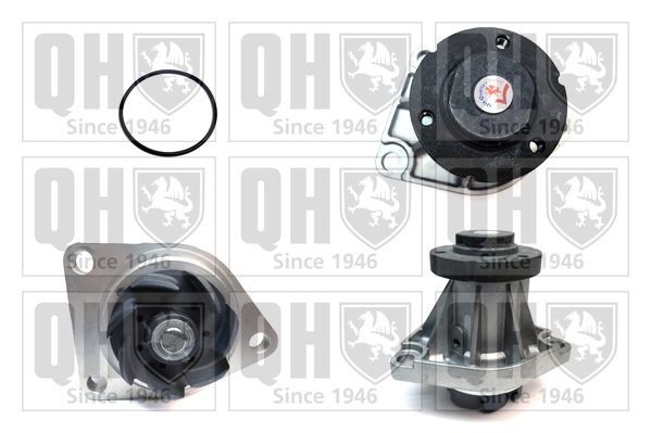 QUINTON HAZELL Vannpumpe QCP3255 Vannpumpe QUINTON HAZELL 9-3 QCP3255 billige