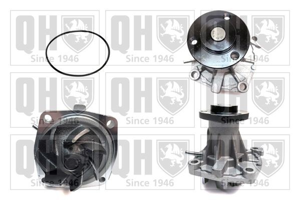 QUINTON HAZELL Waterpomp QCP3363 Waterpompen QUINTON HAZELL OPEL QCP3363