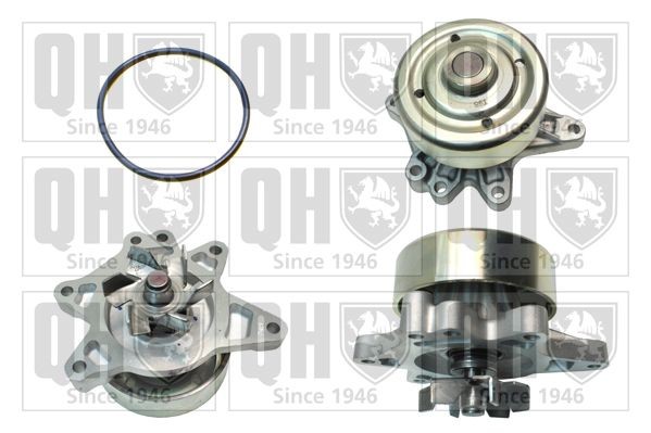 QUINTON HAZELL Vandpumpe QCP3452 QUINTON HAZELL QCP3452 Vandpumpe LOTUS Elan Coupe billig