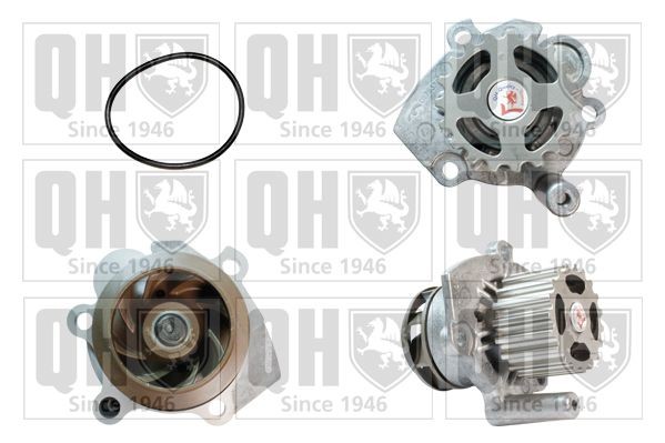 Waterpomp QUINTON HAZELL QCP3476 QUINTON HAZELL QCP3476 Waterpomp van de motor Volkswagen POLO 2003