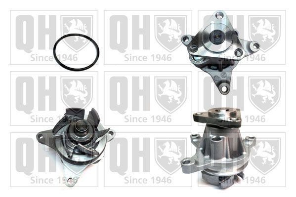 QUINTON HAZELL Water pump QCP3539 QUINTON HAZELL QCP3539 genuine Jaguar XJ40 engine water pump price