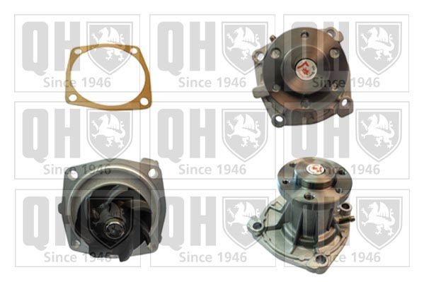QUINTON HAZELL Water pump QCP3619 QCP3619 QUINTON HAZELL water pump for ALFA ROMEO 156
