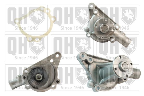 QUINTON HAZELL Waterpomp QCP3710 QUINTON HAZELL QCP3710 originele Waterpomp Montego Sedan kosten
