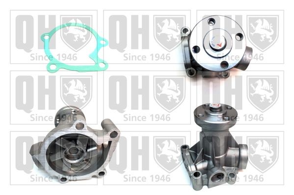 QUINTON HAZELL Water pump QCP976 QUINTON HAZELL QCP976 genuine Volvo 142 water pump price