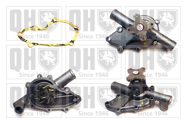 QUINTON HAZELL Ūdenssūknis QCP990 QUINTON HAZELL QCP990 Ūdens sūknis BMW E28 par izdevīgu cenu