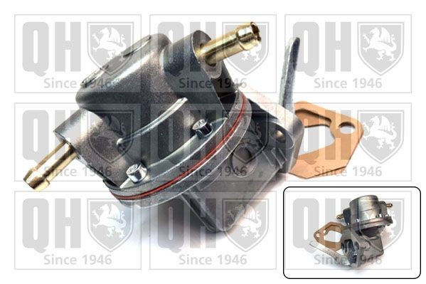 QUINTON HAZELL Benzinpumpe QFP119 QUINTON HAZELL QFP119 Fødepumpe TR7 billig