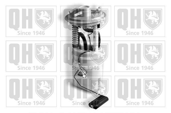 Bensinpumpe QUINTON HAZELL QFP910 QUINTON HAZELL QFP910: Drivstoffpumpe Mitsubishi L300 / DELICA 2020