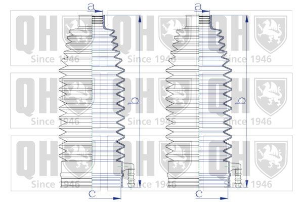 QUINTON HAZELL Jogo de foles, direcção QG1577 Fole caixa direcção QUINTON HAZELL CITROËN QG1577