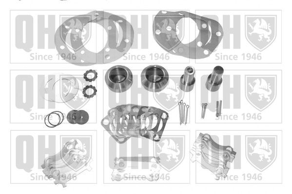 QUINTON HAZELL Kit d'assemblage, pivot de fusée d'essieu QP620TC QP620TC Pivot de fusée QUINTON HAZELL RENAULT 19