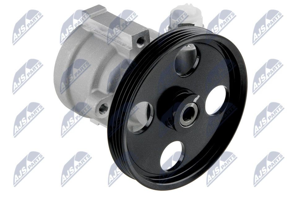 Servopumpe NTY SPW-RE-013 NTY SPW-RE-013: Hydraulikpumpe Dacia DUSTER 2012