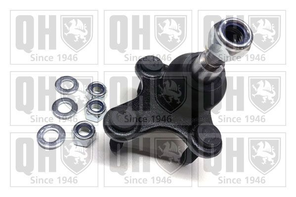 QUINTON HAZELL Fuseekogel QSJ3296S QUINTON HAZELL QSJ3296S Fuseekogel Golf BA5 aan een voordelige prijs