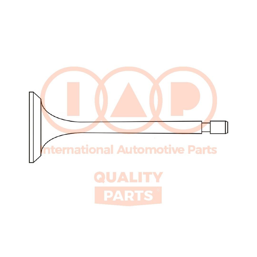 Inlaatklep IAP QUALITY PARTS 110-20060 IAP QUALITY PARTS 110-20060 Inlaatklep DAEWOO MATIZ 2018