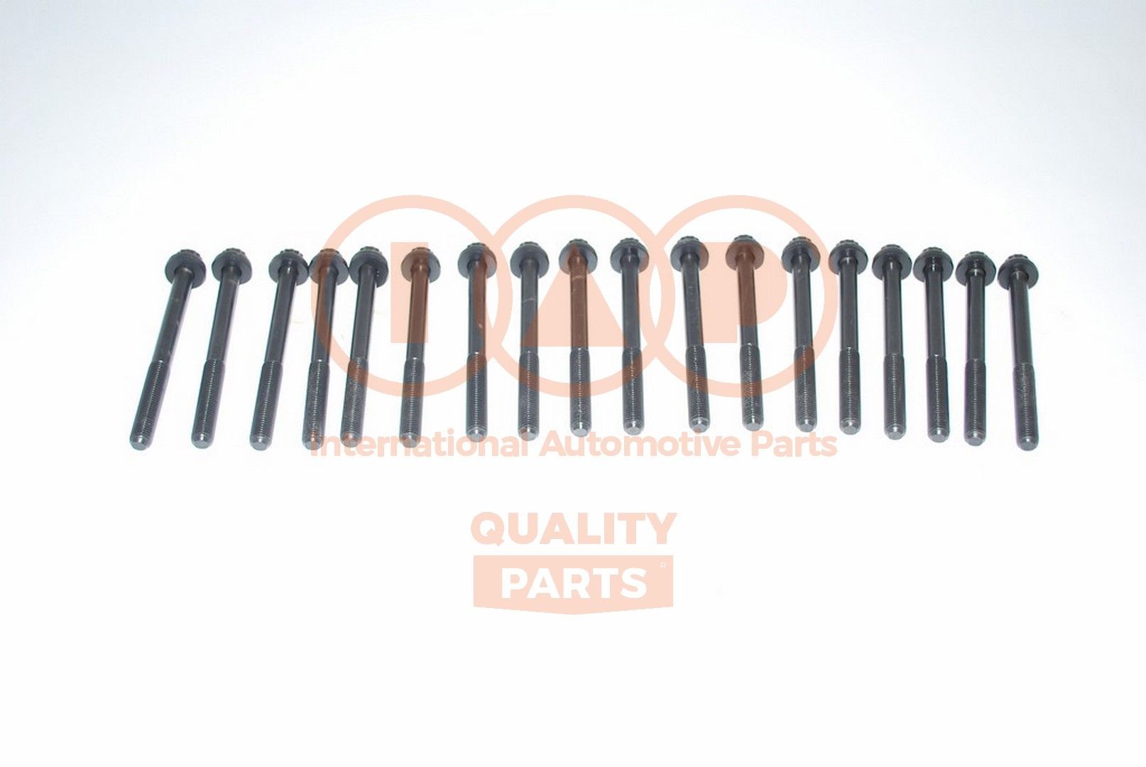 IAP QUALITY PARTS Kit bulloni testata 119-13031 IAP QUALITY PARTS 119-13031 Kit bulloni testata Nissan Interstar Bus prezzo