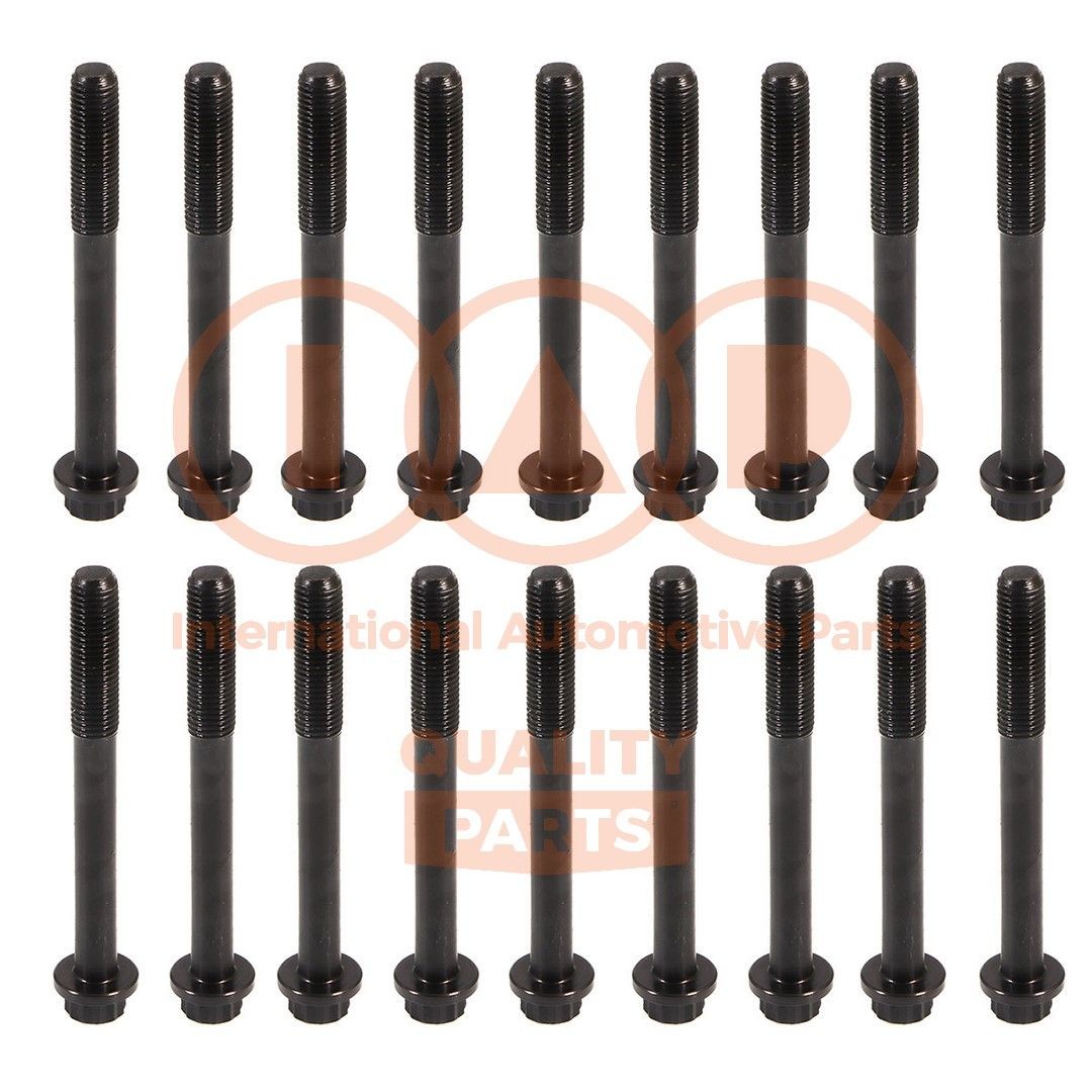 IAP QUALITY PARTS Σετ βίδες κυλινδροκεφαλής 119-13041 Βίδες κυλινδροκεφαλής IAP QUALITY PARTS Peugeot 5008 119-13041