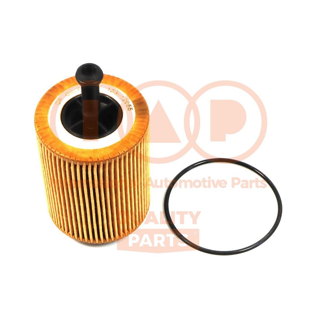 IAP QUALITY PARTS Oliefilter 123-12055 Motorolie filter IAP QUALITY PARTS Iveco Daily 123-12055