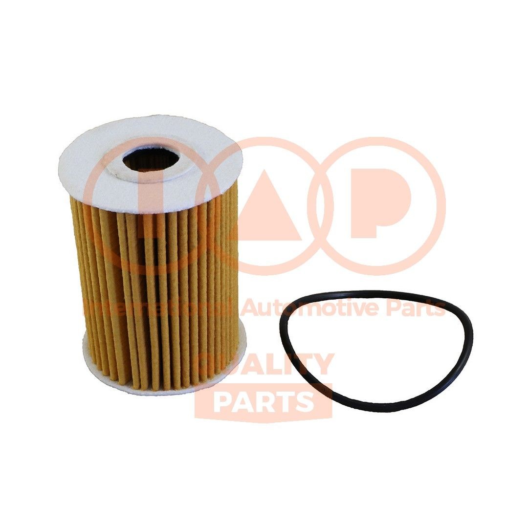 IAP QUALITY PARTS Olejový filter 123-13043 Olejový filter IAP QUALITY PARTS BMW X5 123-13043