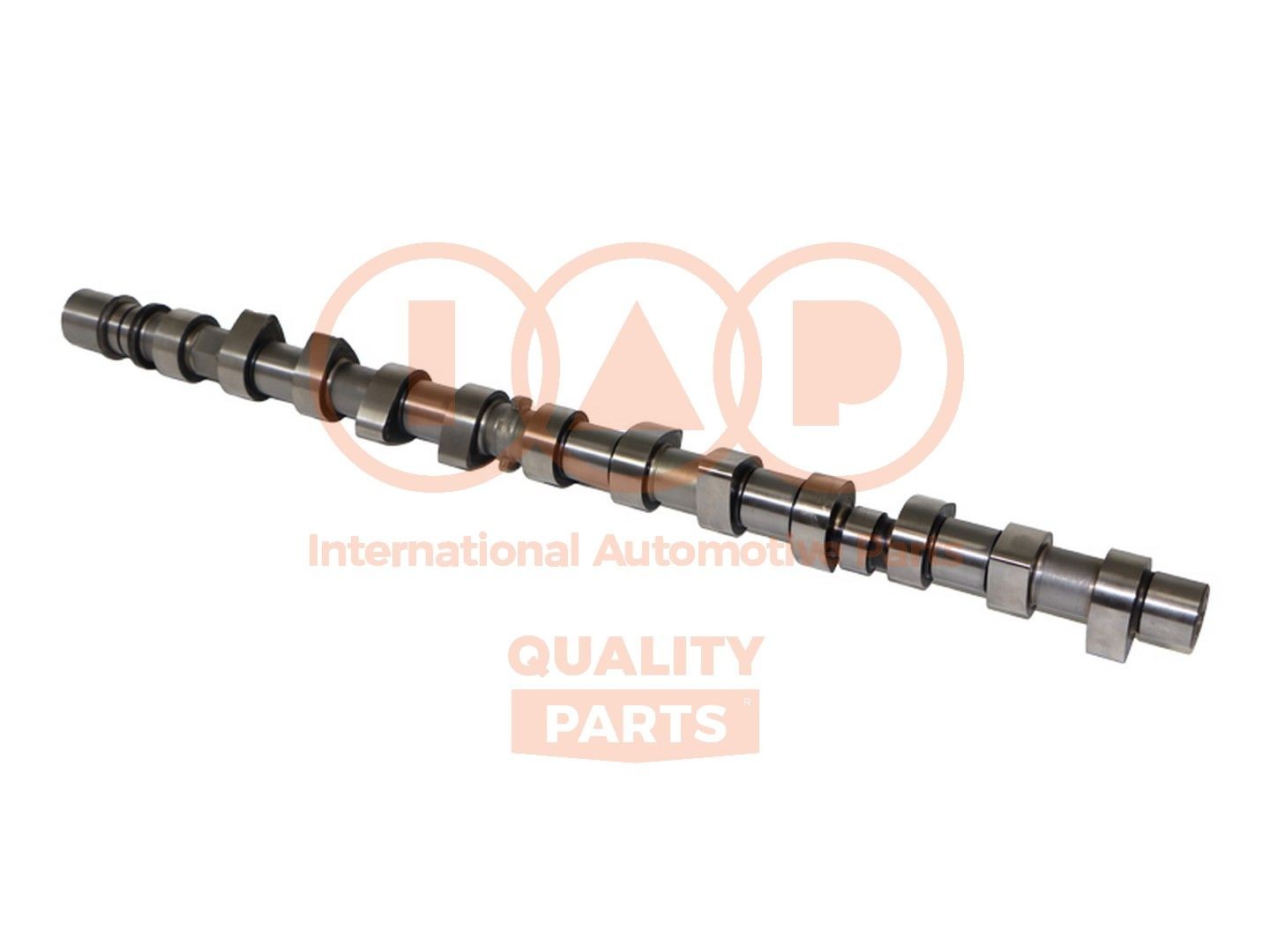 IAP QUALITY PARTS Vačkový hriadeľ 124-13031 Sada vačkového hriadeľa IAP QUALITY PARTS Nissan MICRA 124-13031