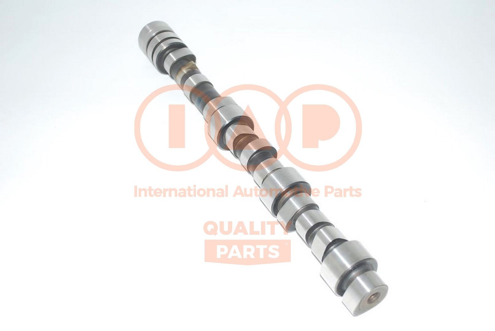 IAP QUALITY PARTS Albero a camme 124-14033 IAP QUALITY PARTS 124-14033 Asse a camme Freelander 2 Van (L359) prezzo