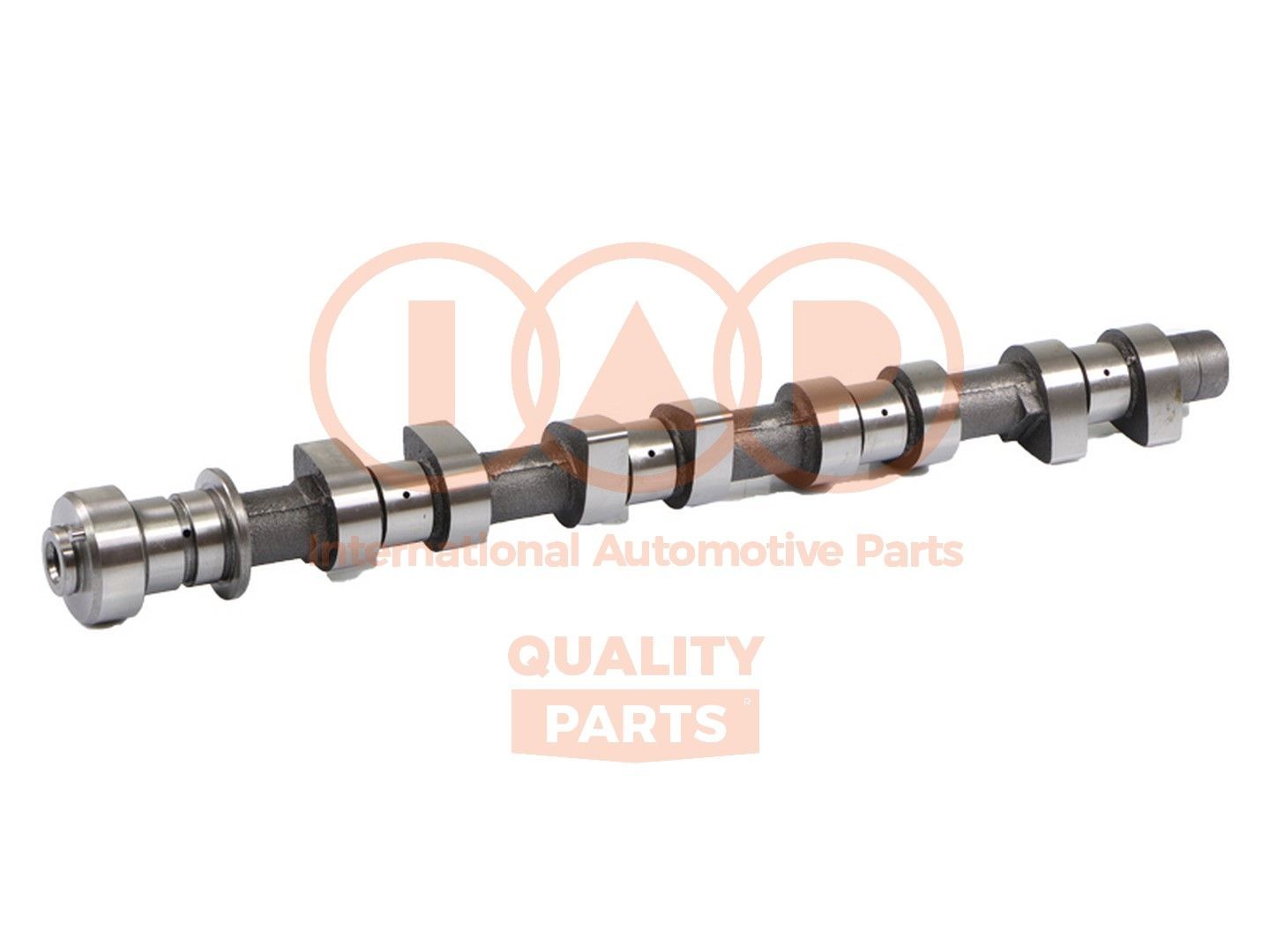 IAP QUALITY PARTS Árvore de cames 124-20034 Árvore de cames IAP QUALITY PARTS LACETTI 124-20034 baratos