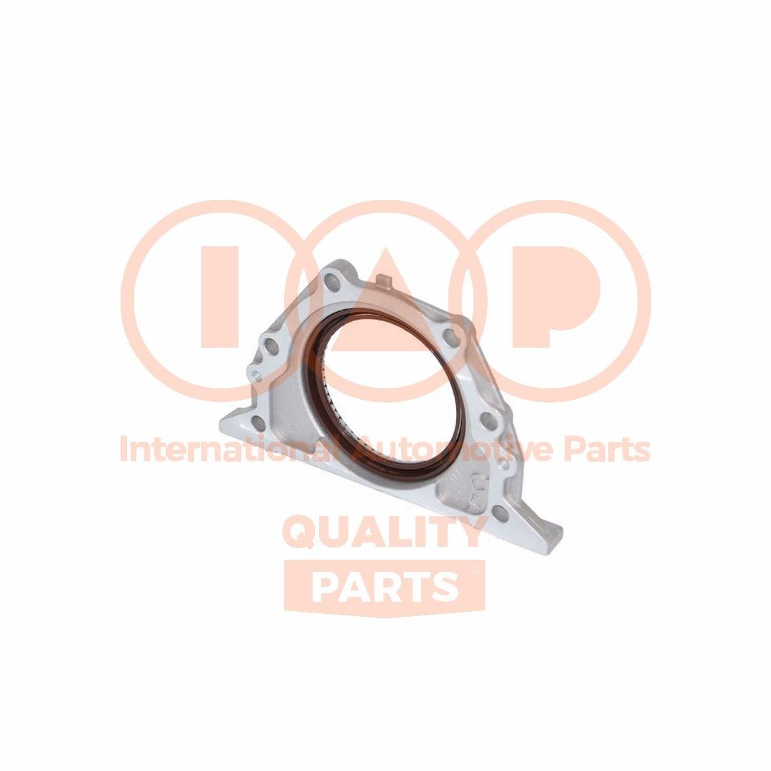 IAP QUALITY PARTS Tesniaci krúżok kľukového hriadeľa 135-13042 135-13042 Tesniaci krúżok kľukového hriadeľa RENAULT CLIO IAP QUALITY PARTS