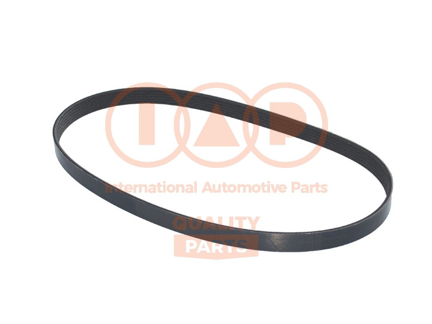 IAP QUALITY PARTS Cinghia servizi 140-16100 140-16100 costo Cinghia servizi SUZUKI SX4 IAP QUALITY PARTS