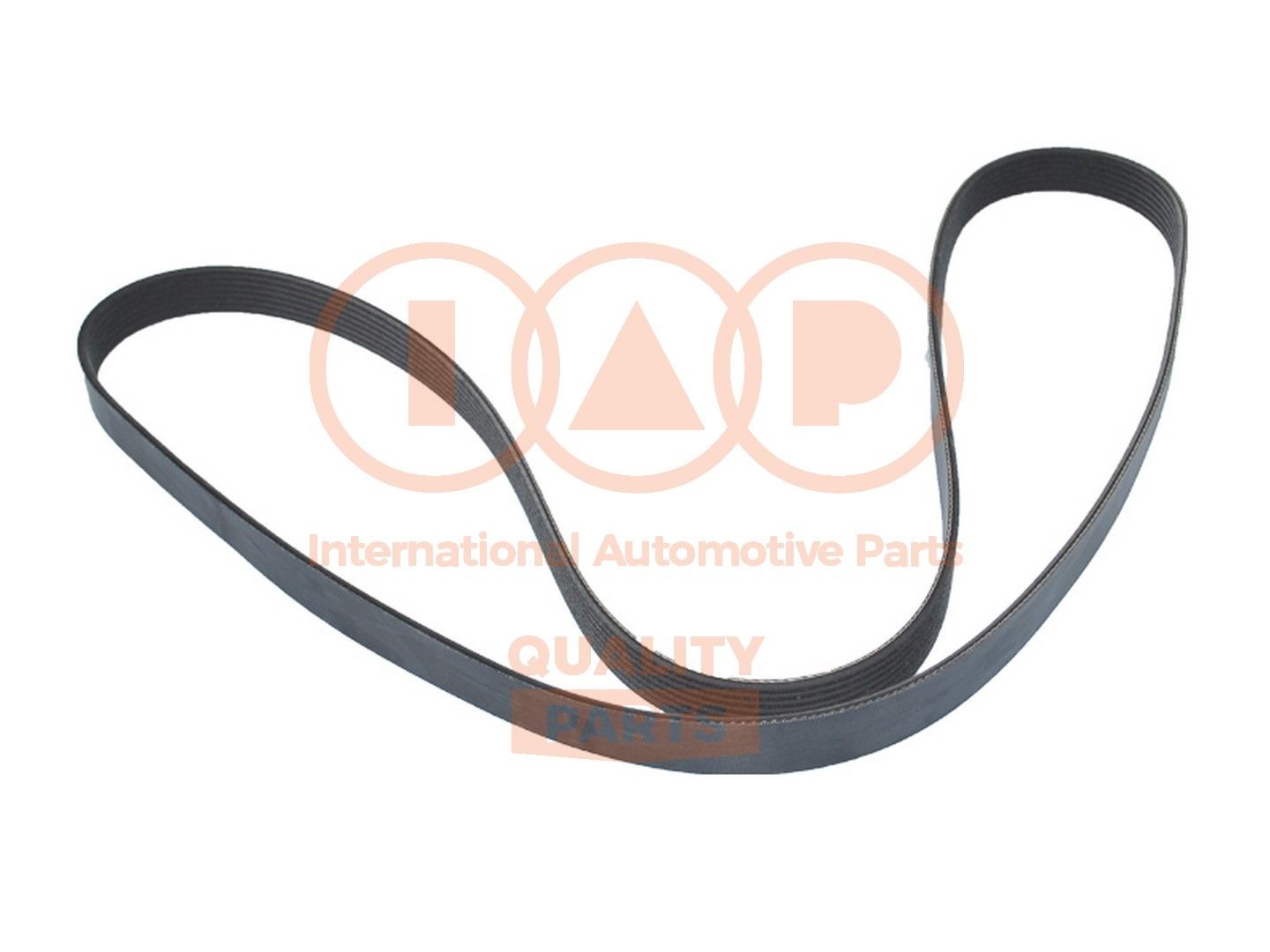 IAP QUALITY PARTS Multiriem 140-17087 IAP QUALITY PARTS 140-17087 Riemen HYUNDAI ix55 (EN) 2010