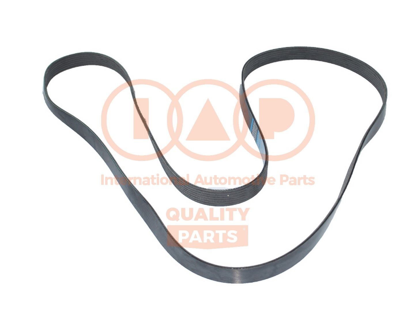 IAP QUALITY PARTS Multireim 140-21083 Multireim IAP QUALITY PARTS Hyundai H-1 Kassevogn 140-21083