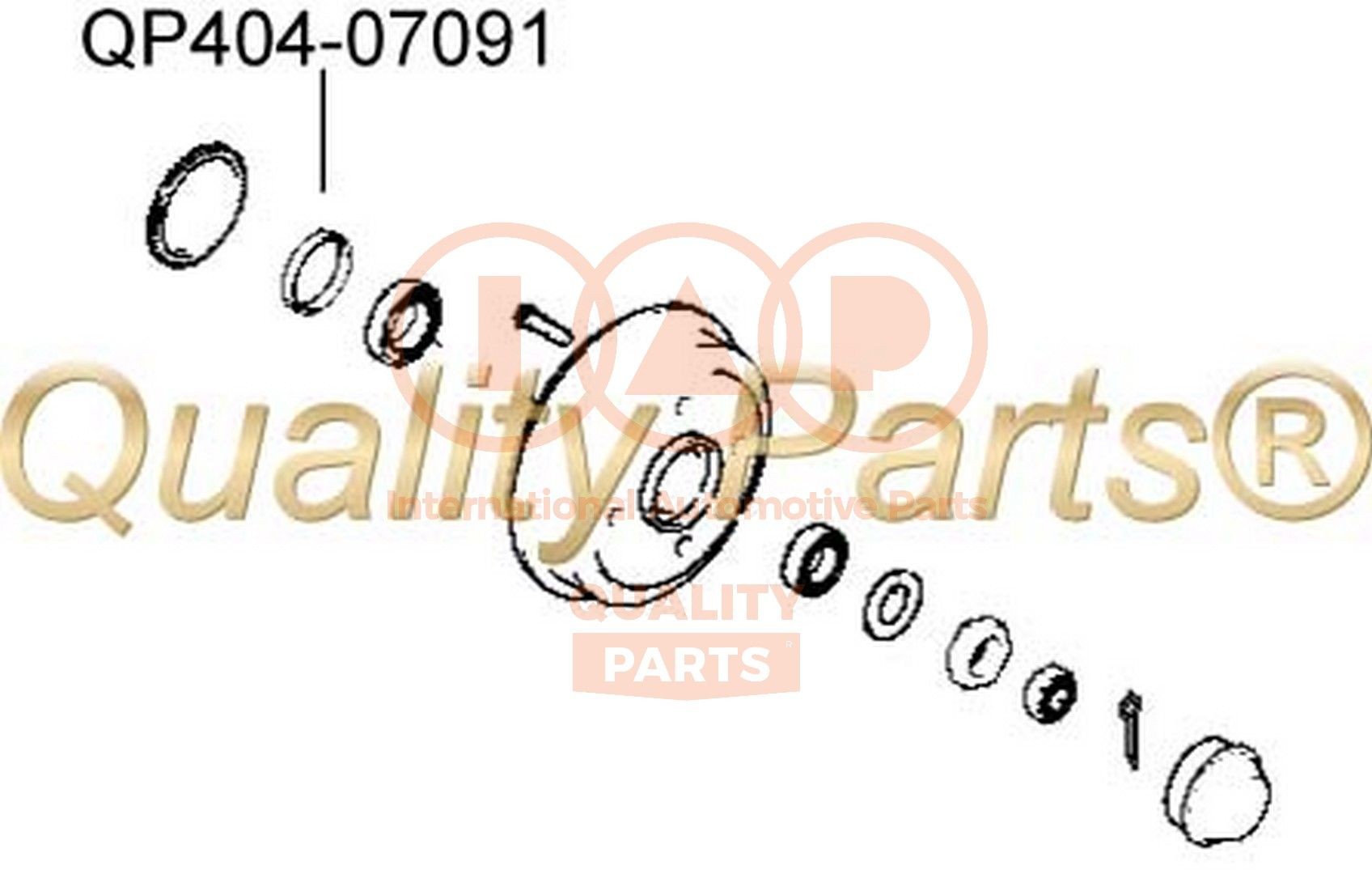 IAP QUALITY PARTS Paraolio, mozzo ruota 404-07091 IAP QUALITY PARTS 404-07091 Paraolio, mozzo ruota Hyundai H1 A1 originale prezzo