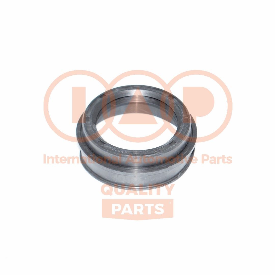 IAP QUALITY PARTS Τσιμούχα, πλήμνη 404-17050 IAP QUALITY PARTS Τσιμούχα, πλήμνη 404-17050 εμπειρία