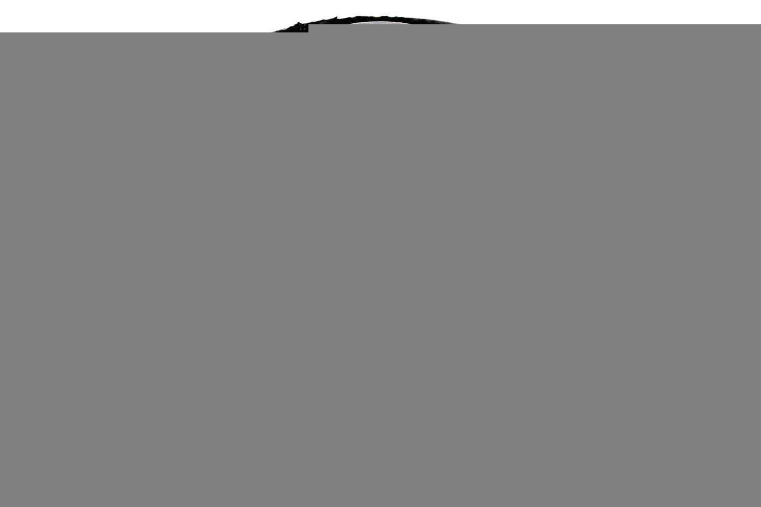 SPIDAN CHASSIS PARTS Afstandshuls, bladveer 411174 Bladveren CITROËN SPIDAN CHASSIS PARTS 411174