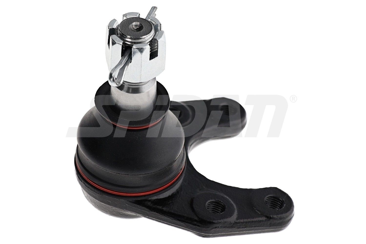 SPIDAN CHASSIS PARTS Testina braccio oscillante 59065 SPIDAN CHASSIS PARTS 59065 Testine braccio oscillante Ford Ranger mk2 originale prezzo