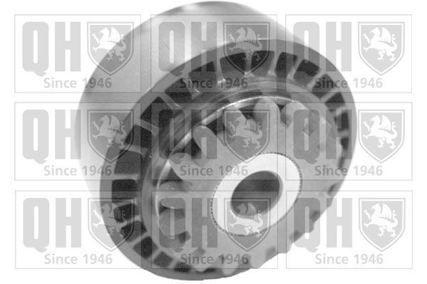 QUINTON HAZELL Spannrolle, Keilrippenriemen QTA1370 Spannrolle QUINTON HAZELL KADJAR QTA1370 günstig