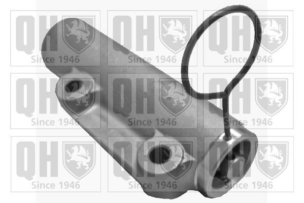 QUINTON HAZELL Vibrationsdämpare, kuggrem QTT1067 Byta Vibrationsdämpare, kuggrem Renault Scenic 2 kostnad QUINTON HAZELL QTT1067