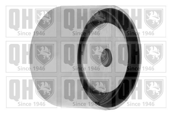 QUINTON HAZELL Napínacia kladka ozubeného remeňa QTT1098 QUINTON HAZELL QTT1098 originálne Napínacia kladka ozubeného remeňa Voyager / Grand Voyager cena