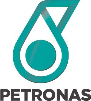 PETRONAS Olio motore 19985019 19985019 SYNTIUM, 5000 DM costo Olio motore PETRONAS RENAULT TRAFIC