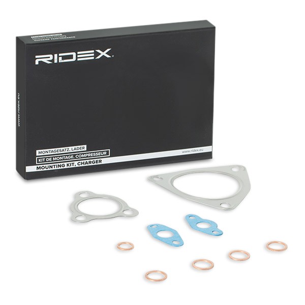 RIDEX Montagesæt, lader 2420M0017 Montagesæt lader RIDEX Renault LAGUNA 2420M0017