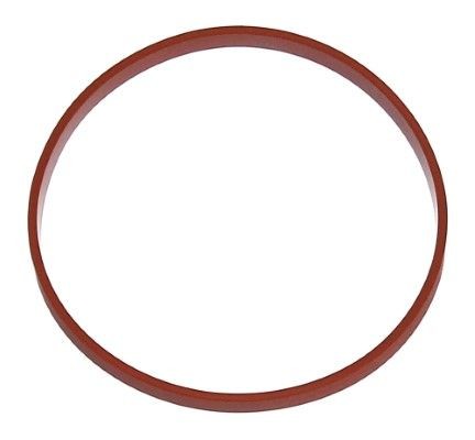 Tihend, sisselaskekollektori korpus ELRING 595.300 ELRING 595.300 Sisselaskekollektori tihend BMW 1. Seeria 2020
