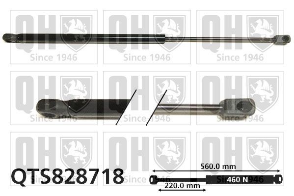 Gasveer achterklep QUINTON HAZELL QTS828718 QUINTON HAZELL QTS828718 Gasveer kofferruimte Volvo V60 2011