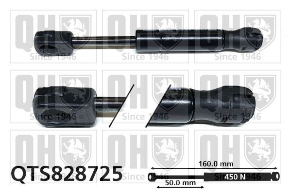 QUINTON HAZELL Gaasivedru, pagasi- / veoruum QTS828725 QUINTON HAZELL QTS828725 Luugiamordid RENAULT 19 originaal