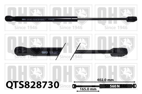 QUINTON HAZELL Ammortizatore pneumatico, Cofano bagagli / vano carico QTS828730 QTS828730 costo Pistoni portellone QUINTON HAZELL HYUNDAI IONIQ