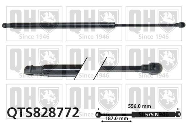 QUINTON HAZELL Amortecedor da mala QTS828772 Amortecedores da mala QUINTON HAZELL Peugeot 207 QTS828772