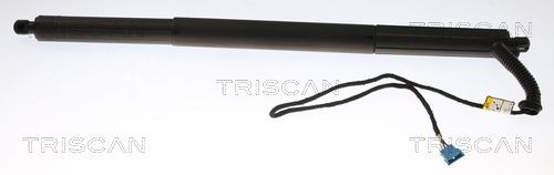TRISCAN Ammortizatore pneumatico, Cofano bagagli / vano carico 8710 11306 8710 11306 costo Pistoni portellone BMW i8 TRISCAN