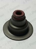 PAYEN Paraolio valvole PA6111 PA6111 Paraolio valvole PAYEN PEUGEOT 206 costo