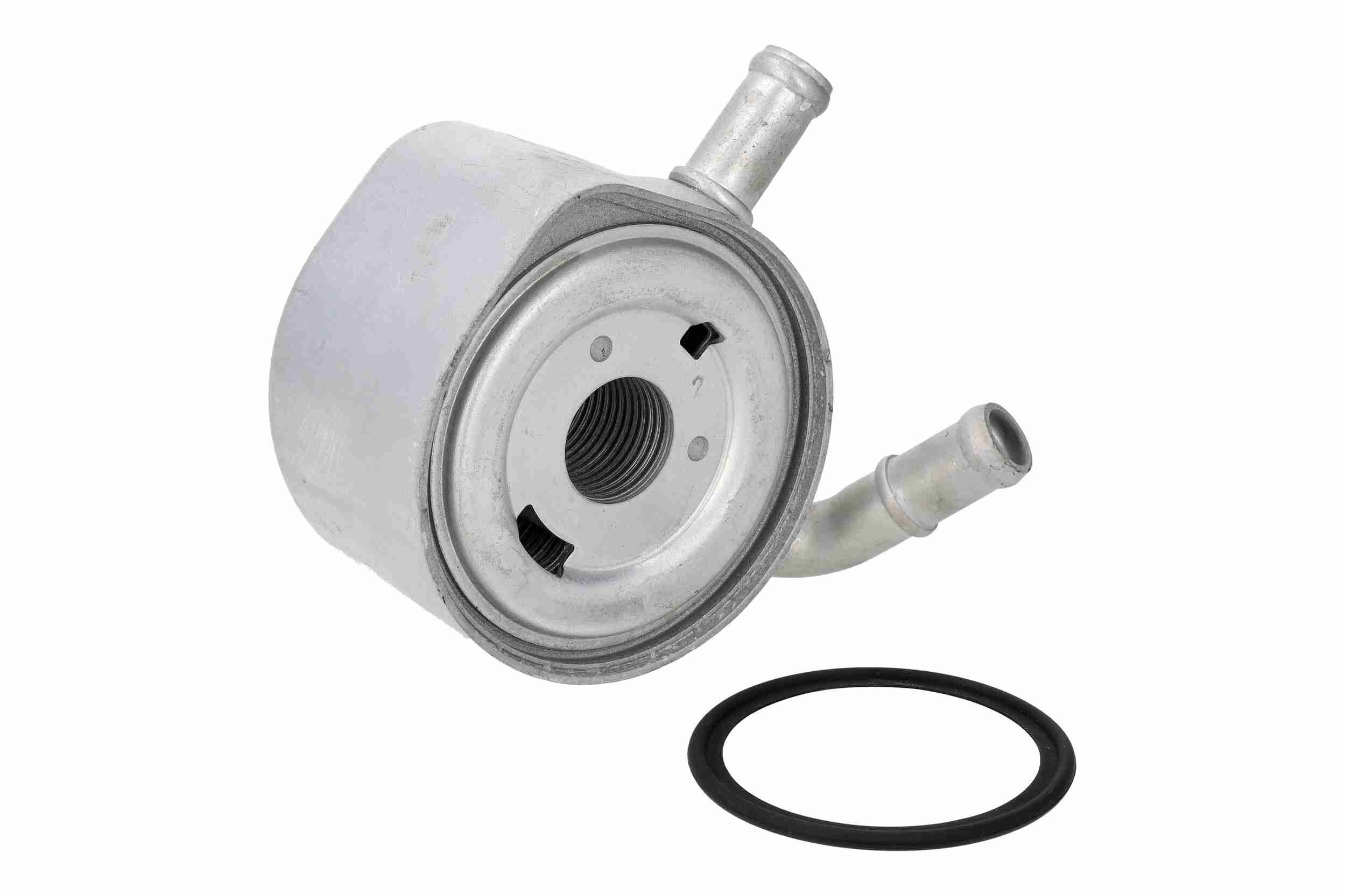 Õliradiaator, mootoriõli VEMO V46-60-0001 VEMO V46-60-0001 RENAULT KANGOO 2004 Õlijahuti