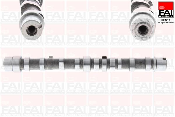 FAI AutoParts Nockenwelle C406 C406 Nockenwellensatz CHEVROLET TRAILBLAZER FAI AutoParts kaufen