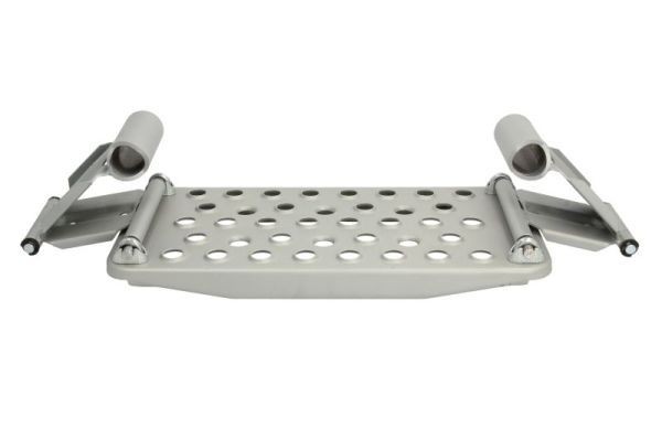 PACOL Trittbrett MER-SP-058L Schweller PACOL RAPID MER-SP-058L günstig