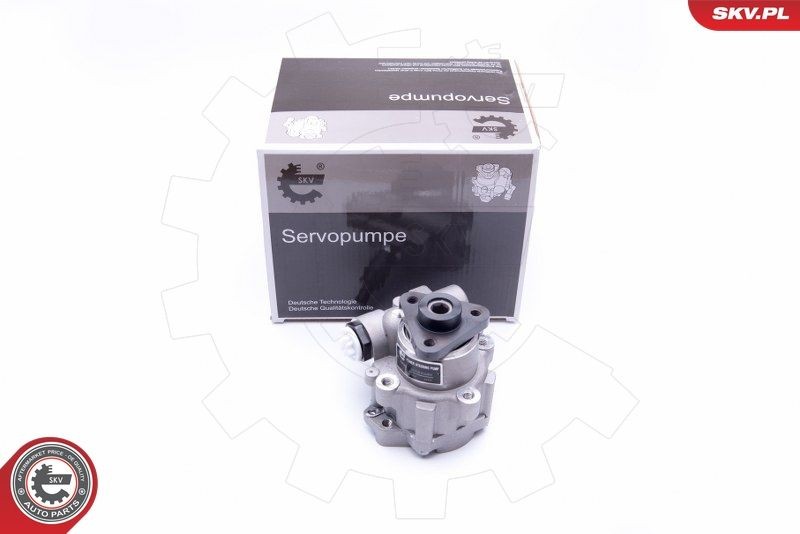 ESEN SKV Roolivõimu pump 10SKV249 Hüdraulikapump roolimine ESEN SKV 308 10SKV249 odav