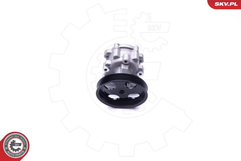 ESEN SKV Servopumpe 10SKV251 10SKV251 Hydraulikpumpe DACIA LOGAN ESEN SKV